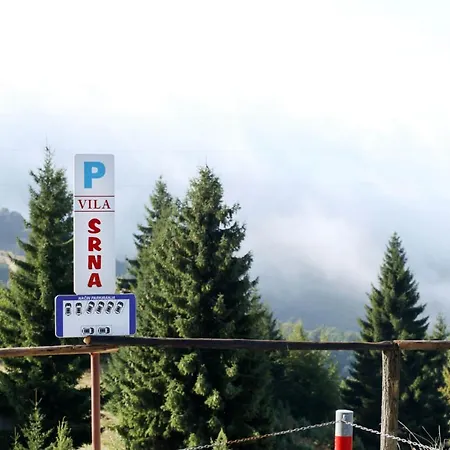 Srna Kopaonik
